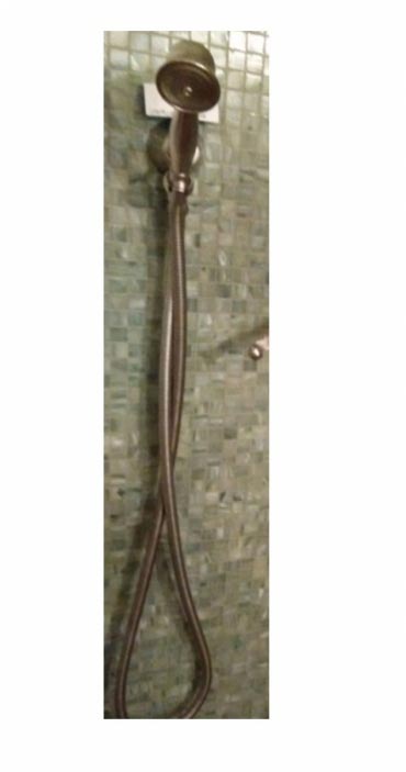 Classic Hand Shower With Hose & Hook